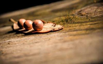 Snipaste使用界面